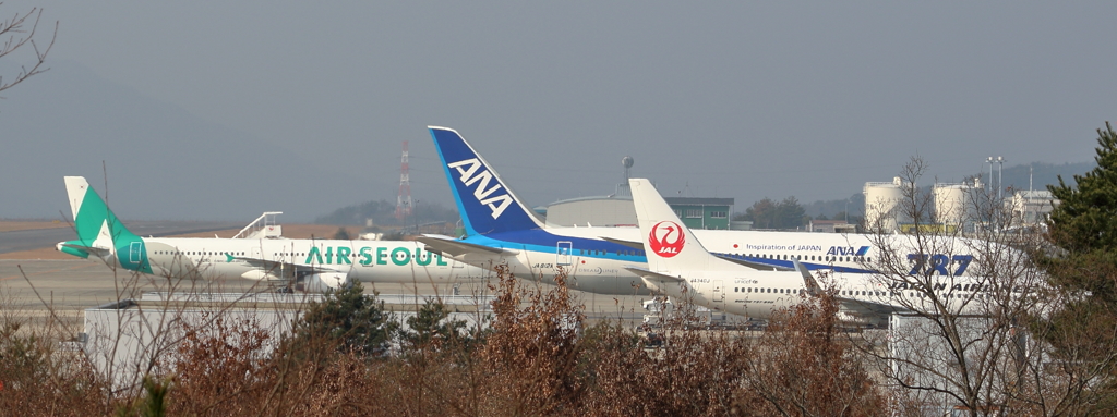 広島空港(2) 17.01.19