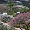 三景園 (6) 250327-808