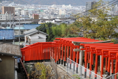 千本鳥居? (2)　201120-385