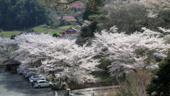 御調八幡宮(1) 190408-964