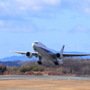 ANA take off 250126-3088