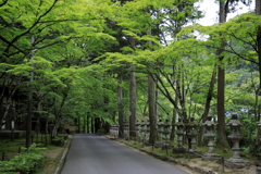 新緑の佛通寺(4) 210602-271 