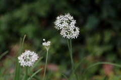 こっち向いて！