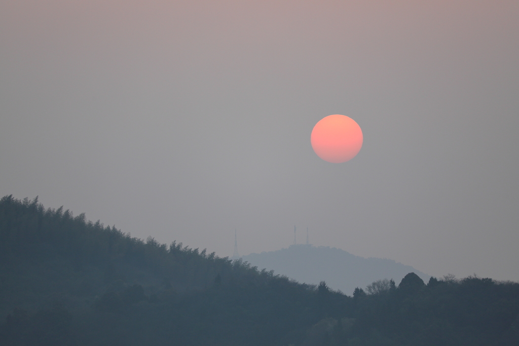 新年度の朝 180402-889
