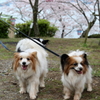 かわいく撮ってね！17.04.10