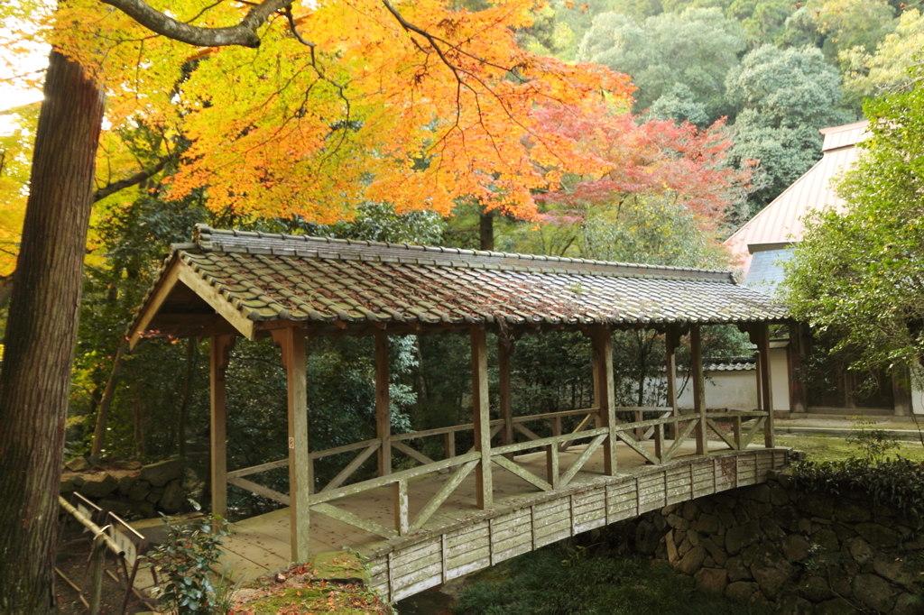仏通寺 (4)]14.11.10