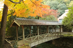 仏通寺 (4)]14.11.10
