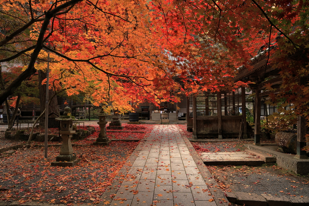 今高野山龍華寺 (9) 251121-239