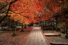 今高野山龍華寺 (9) 251121-239