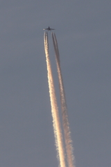 早朝の飛行機雲 (1) 250505-587