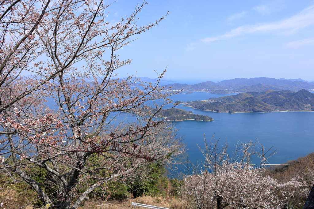 竜王山から 250404-911