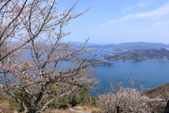 竜王山から 250404-911