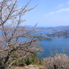 竜王山から 250404-911