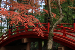 今高野山龍華寺 (8) 251121-249