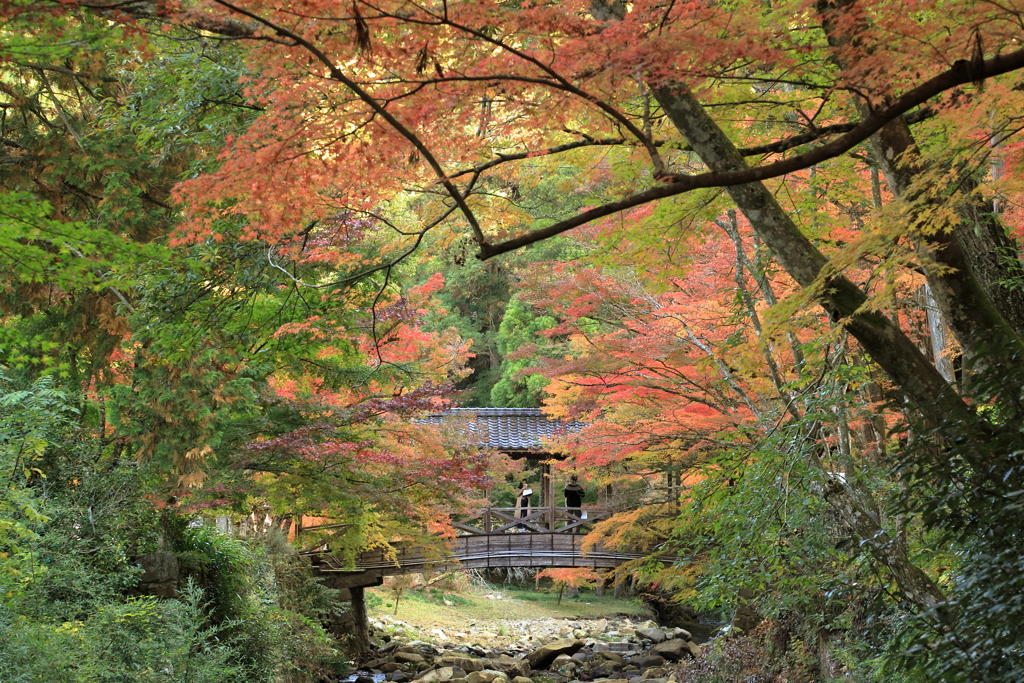 佛通寺紅葉(4) 201110-0302