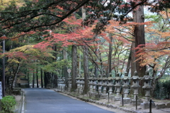 今朝の佛通寺(3) 171106-