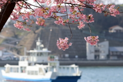 尾道海岸通り (3) 250321-856