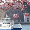 尾道海岸通り (3) 250321-856
