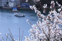 千光寺 (2) 250403-892