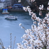 千光寺 (2) 250403-892