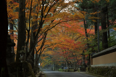 佛通寺(6) 16.11.16