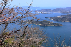 竜王山から (2) 250404-912