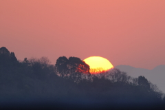 Rising sun 250322-857
