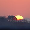 Rising sun 250322-857
