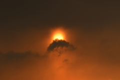 夜明け（１）15.01.17