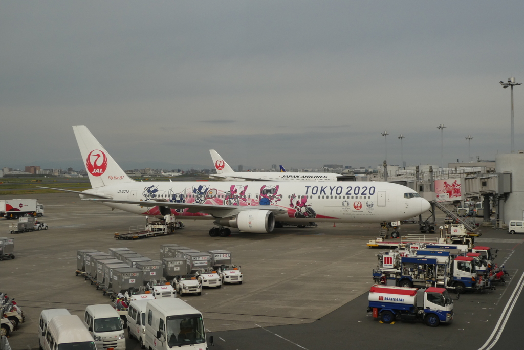 JAL 2020 191027-P333