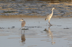 けんかの後！　15.05.22