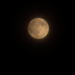 The moon (1) 　15.07.01