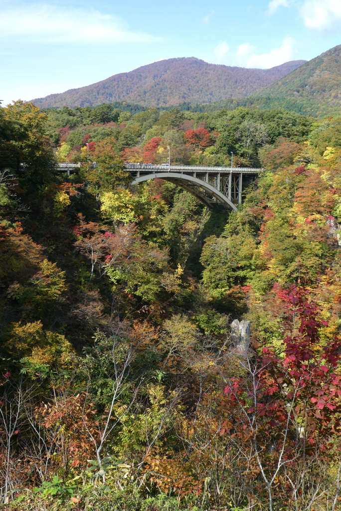 紅葉の鳴子狭 (2) 231028-448 