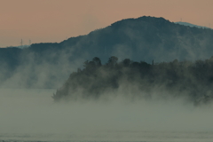 海霧の朝(1) 231225-868