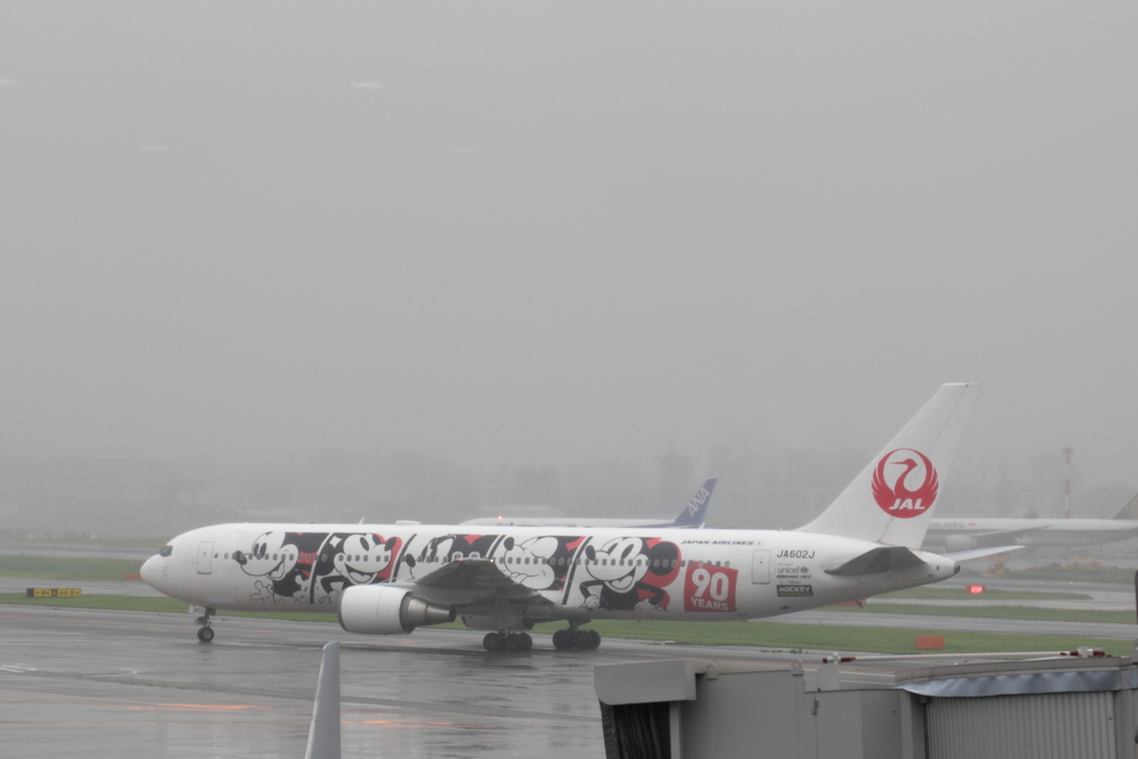 雨の羽田空港(2)  190610-085