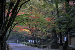 今朝の佛通寺(2)  171106-