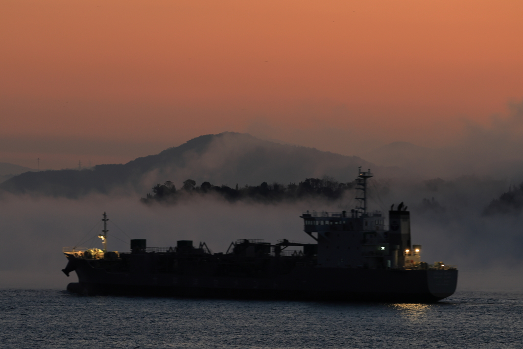 海霧の朝 (2) 251219-461