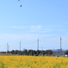 笠岡ベイファーム(7) 200211-779