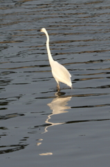 今日は、あつかったなあ～！！