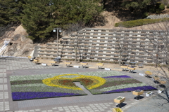 フラワーカーペットおのみち2018(1) 180214-