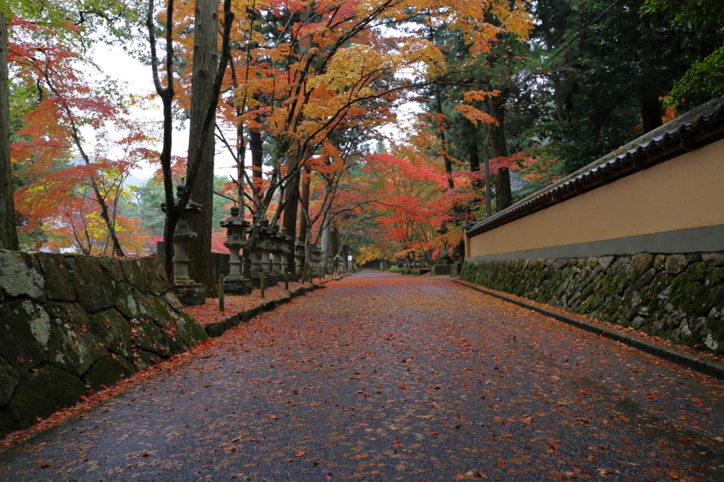 佛通寺 (5) 15.11.09