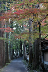 今朝の佛通寺(1)  171106-