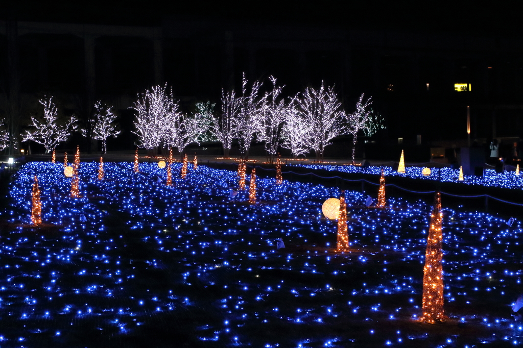 Winter Illumination (2) 15.12.14