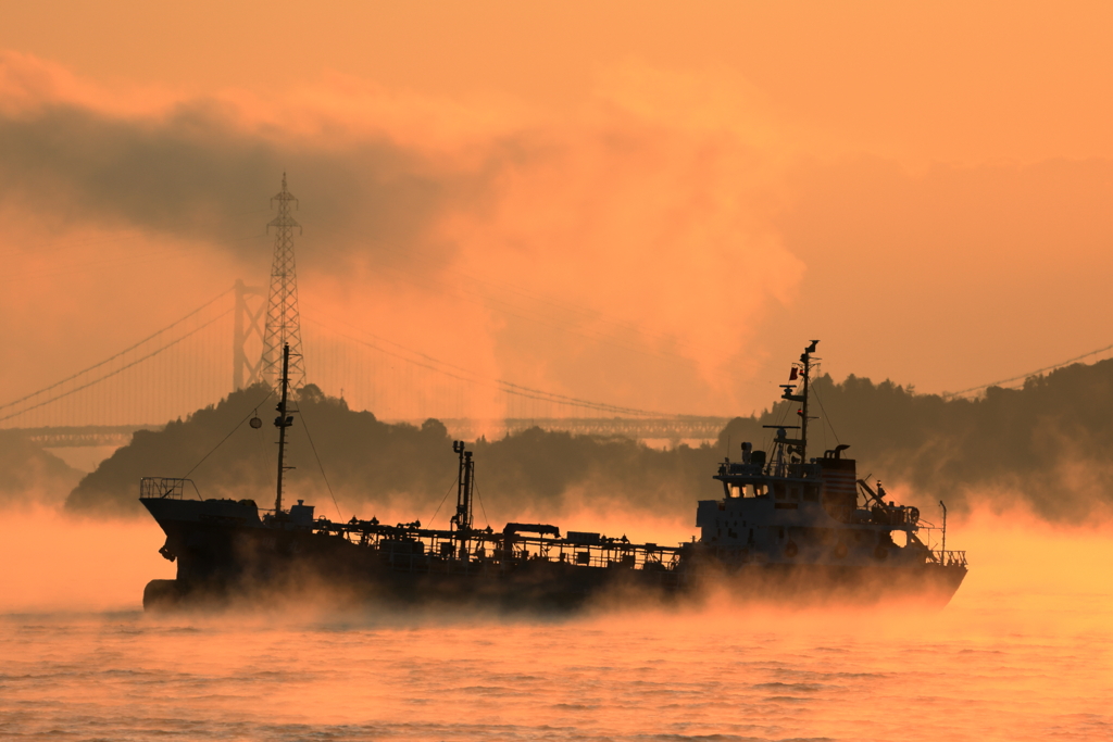 海霧の朝 (3) 251216-405