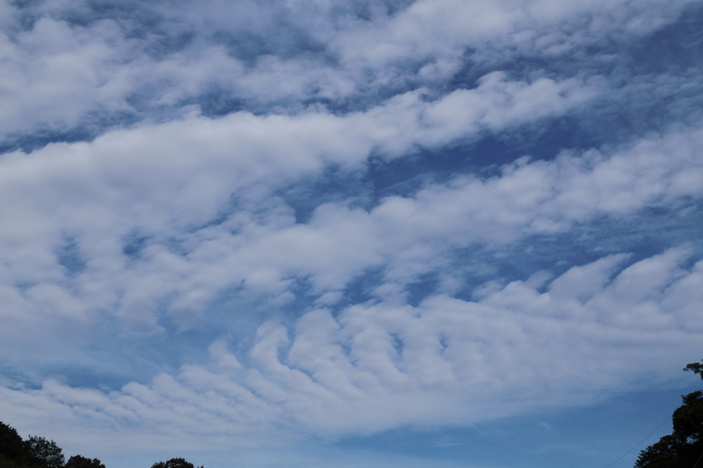 秋の雲