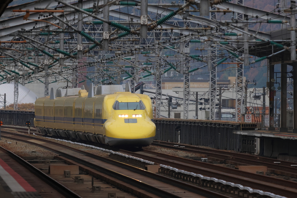 Happy  Yellow　(2) 221117-610 