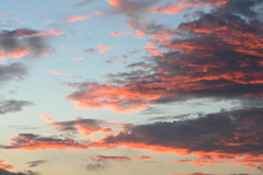 瀬戸内の夜明け(1)  170805-1