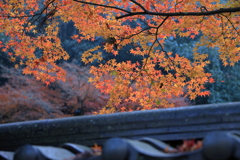 佛通寺 (1) 251130-291