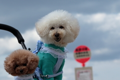 モデル(2) 210409-537 