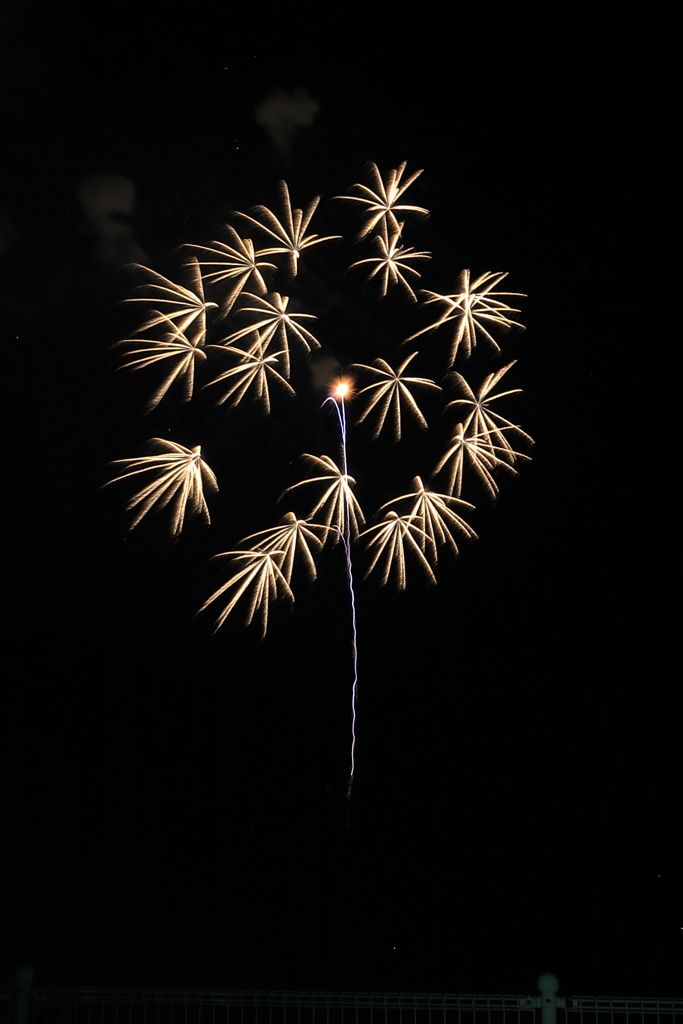 呉市花火大会(2) 1907270597